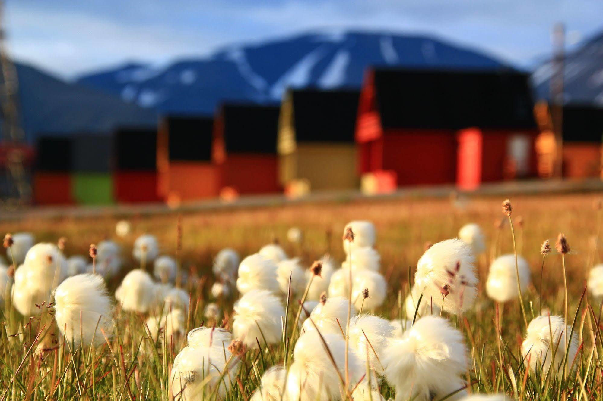 Svalbard Hotell | Polfareren Longyearbyen Exterior foto